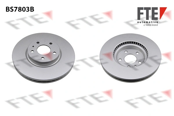 Brake Disc (9081148)
