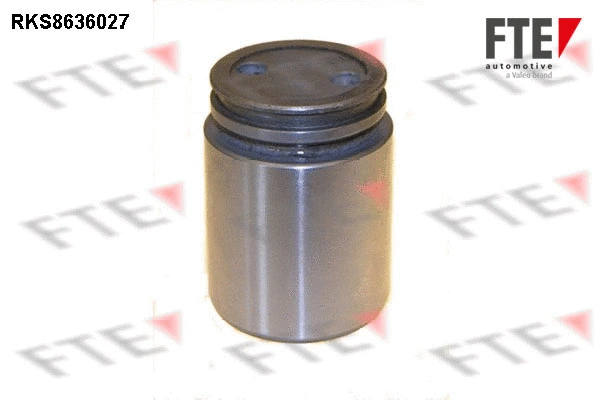 Piston, brake caliper (RKS8636027)