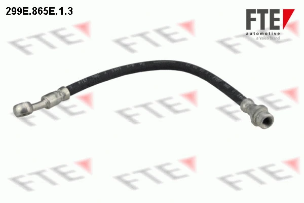Brake Hose (299E.865E.1.3)