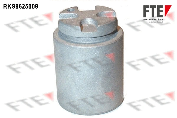 Piston, brake caliper (9313218)