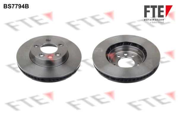 Brake Disc (9081040)