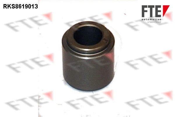 Piston, brake caliper (9313156)