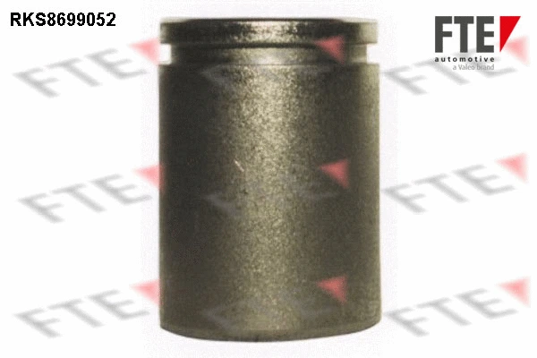 Piston, brake caliper (RKS8699052)