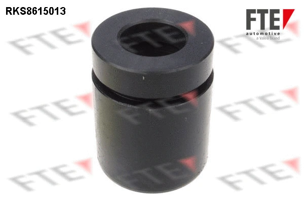 Piston, brake caliper (9313006)