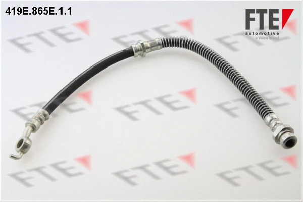 Brake Hose (419E.865E.1.1)