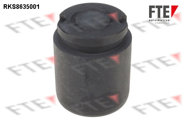 Piston, brake caliper (9313309)