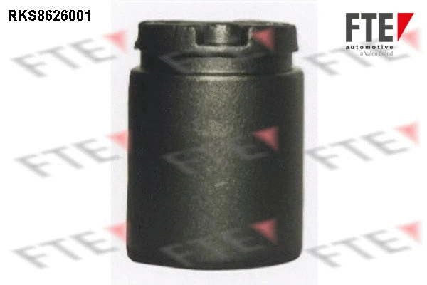 Piston, brake caliper (9313230)