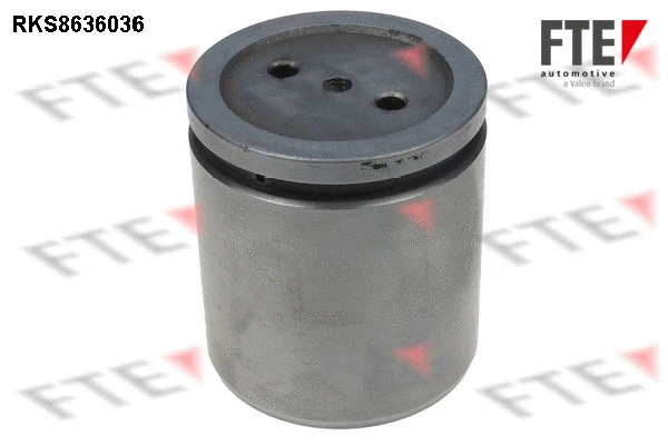 Piston, brake caliper (9313344)