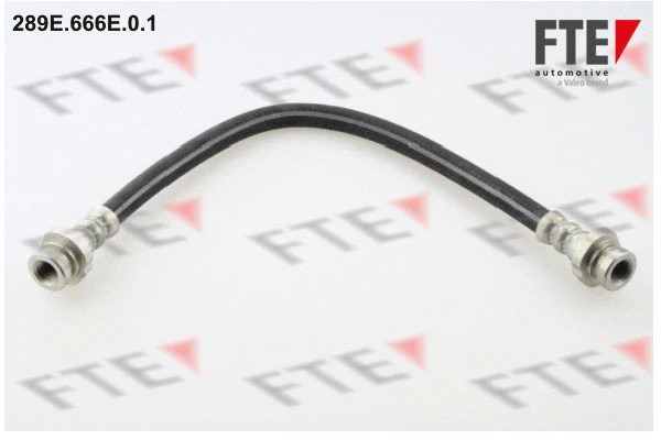 Brake Hose (289E.666E.0.1)