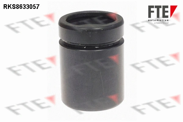 Piston, brake caliper (9313296)