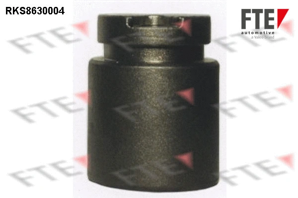 Piston, brake caliper (9313242)