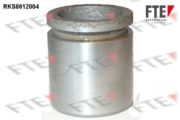 Piston, brake caliper (9313120)