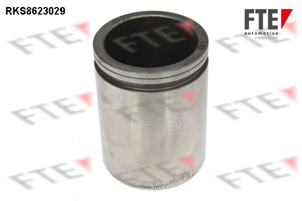 Piston, brake caliper (9812050)