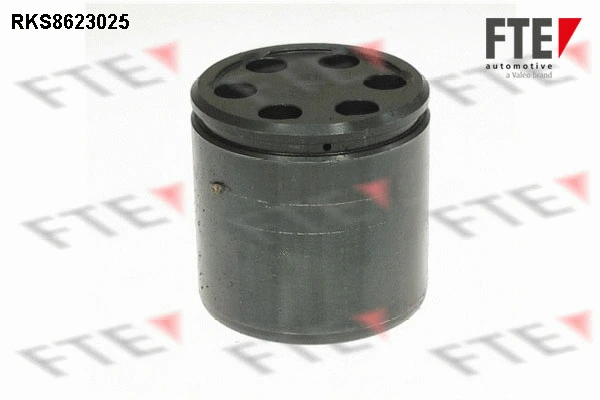 Piston, brake caliper (9313208)