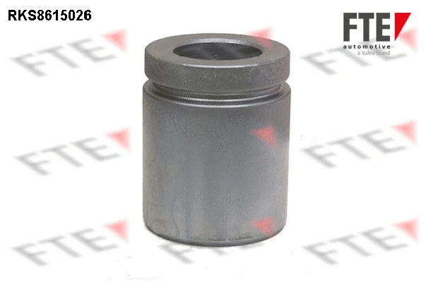 Piston, brake caliper (9313141)