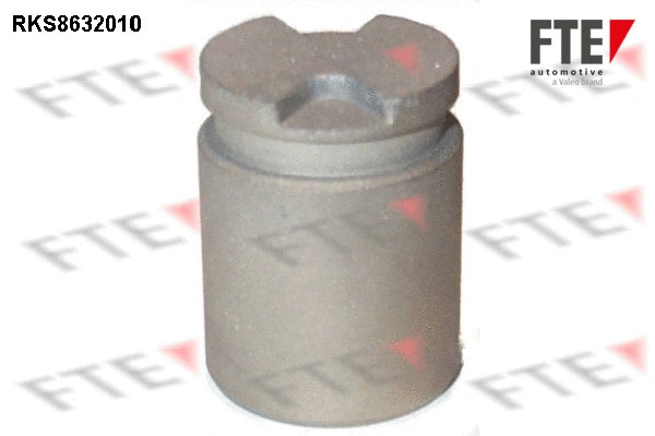 Piston, brake caliper (9313261)