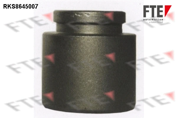 Piston, brake caliper (RKS8645007)