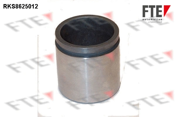 Piston, brake caliper (9313219)
