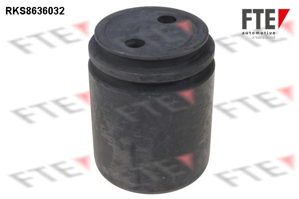 Piston, brake caliper (9313341)