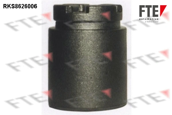 Piston, brake caliper (9313232)