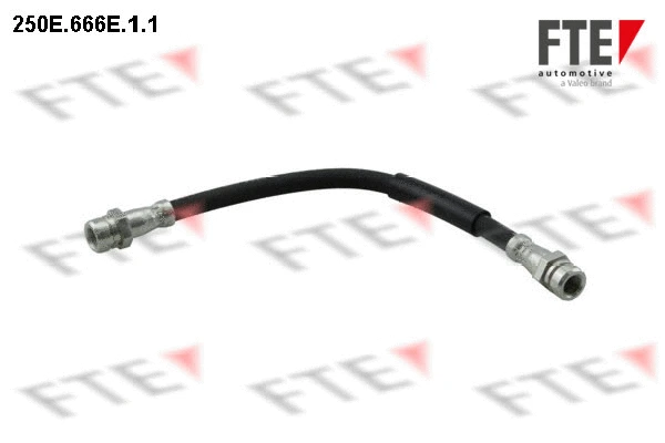 Brake Hose (250E.666E.1.1)
