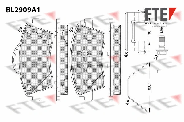 Brake Pad Set, disc brake (BL2909A1)