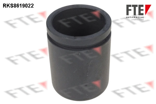 Piston, brake caliper (RKS8619022)