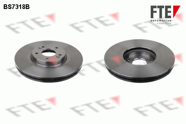 Brake Disc (BS7318B)