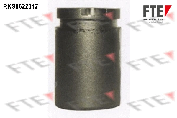 Piston, brake caliper (9313178)