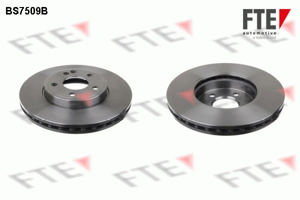 Brake Disc (9081127)