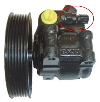 Hydraulic Pump, steering (BDR-5103)