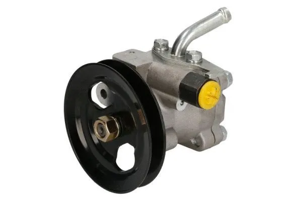 Hydraulic Pump, steering (BDR-5744)