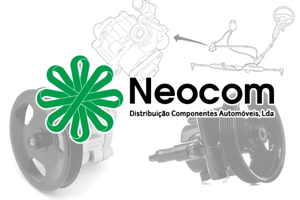 Hydraulic Pump, steering (BDR-8181)