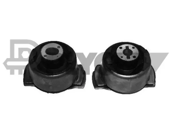 Bushing, axle beam (P021074)