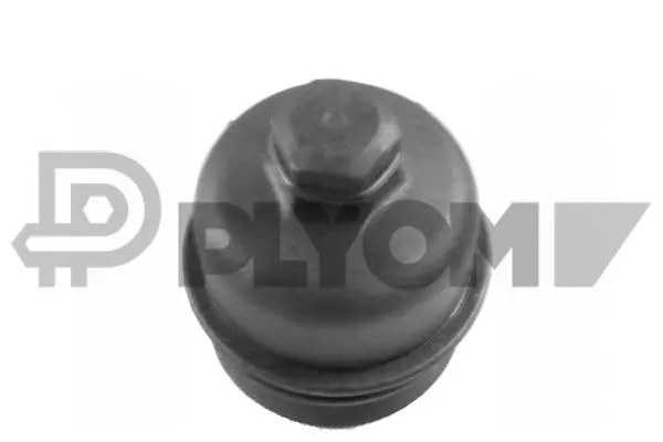 Cap, oil filter housing (P031594)