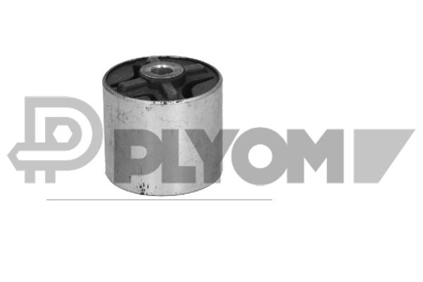 Bushing, axle beam (P061012)