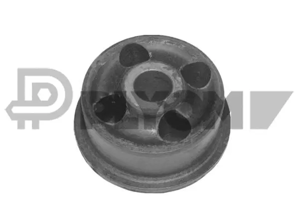 Bushing, axle beam (P030318)