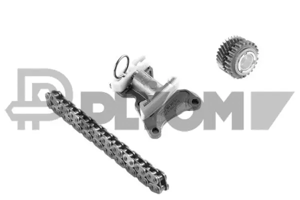 Timing Chain Kit (P770423)