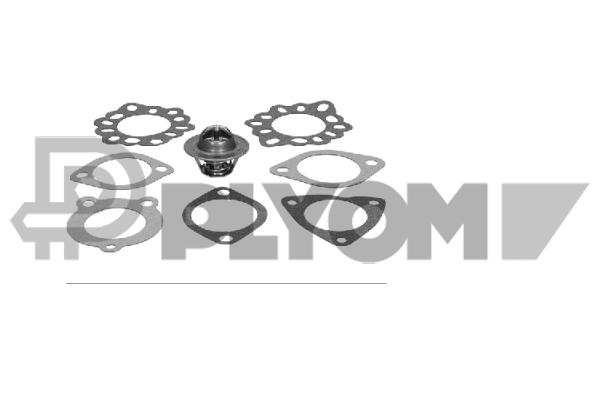Thermostat, coolant (P770196)