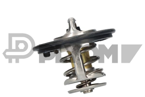 Thermostat, coolant (P771482)
