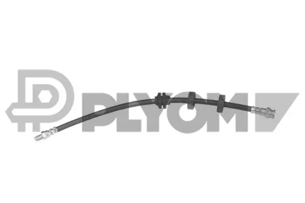 Brake Hose (P010302)