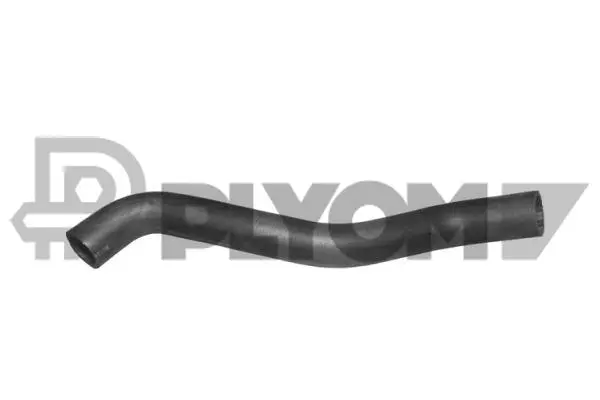 Radiator Hose (P016188)