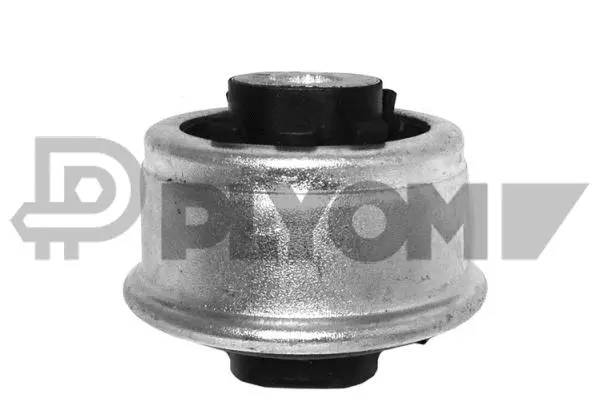 Mounting, control/trailing arm (P755502)