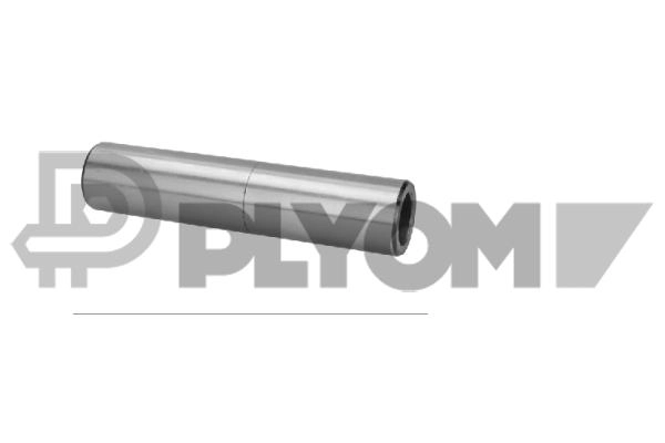 Mounting, axle strut (P031443)