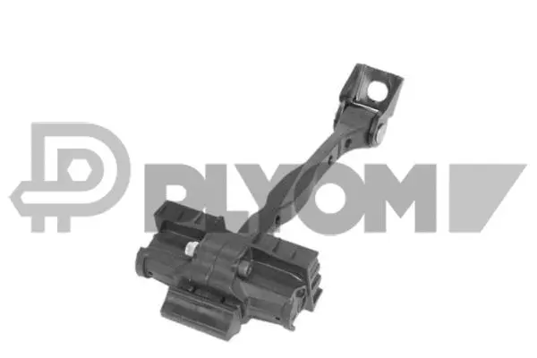 Door Check (P774417)