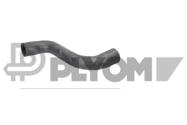 Radiator Hose (P016341)
