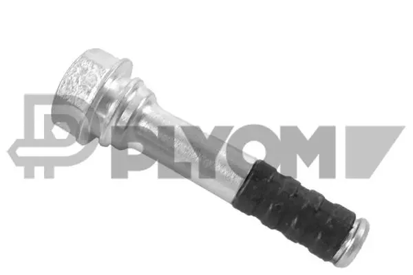 Guide Bolt, brake caliper (P759468)