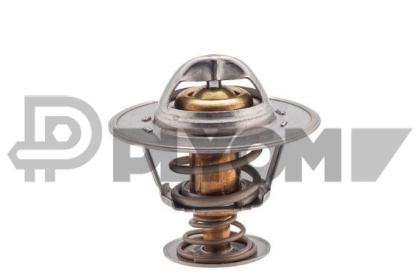 Thermostat, coolant (P756839)