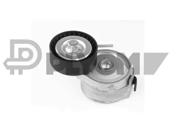 Tensioner Lever, V-ribbed belt (P756834)
