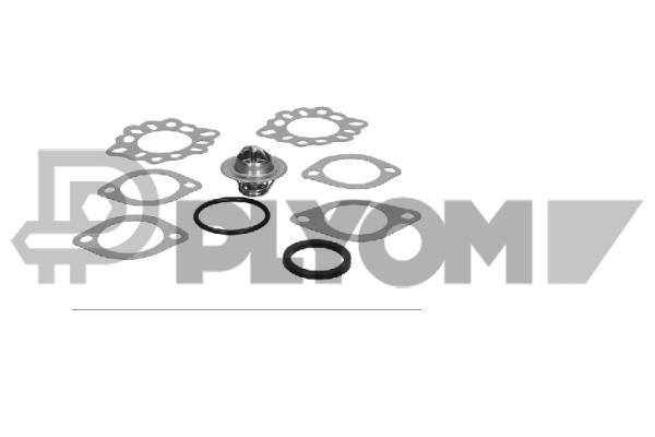 Thermostat, coolant (P770189)